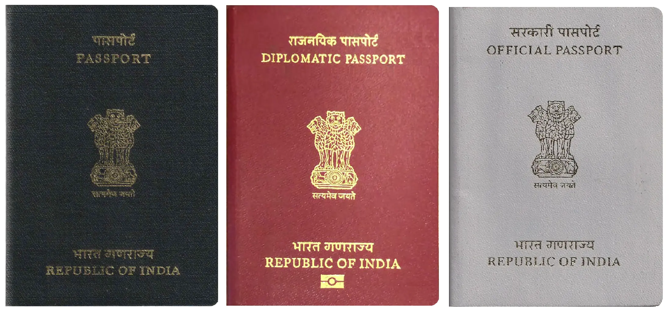 Indian Passport type
